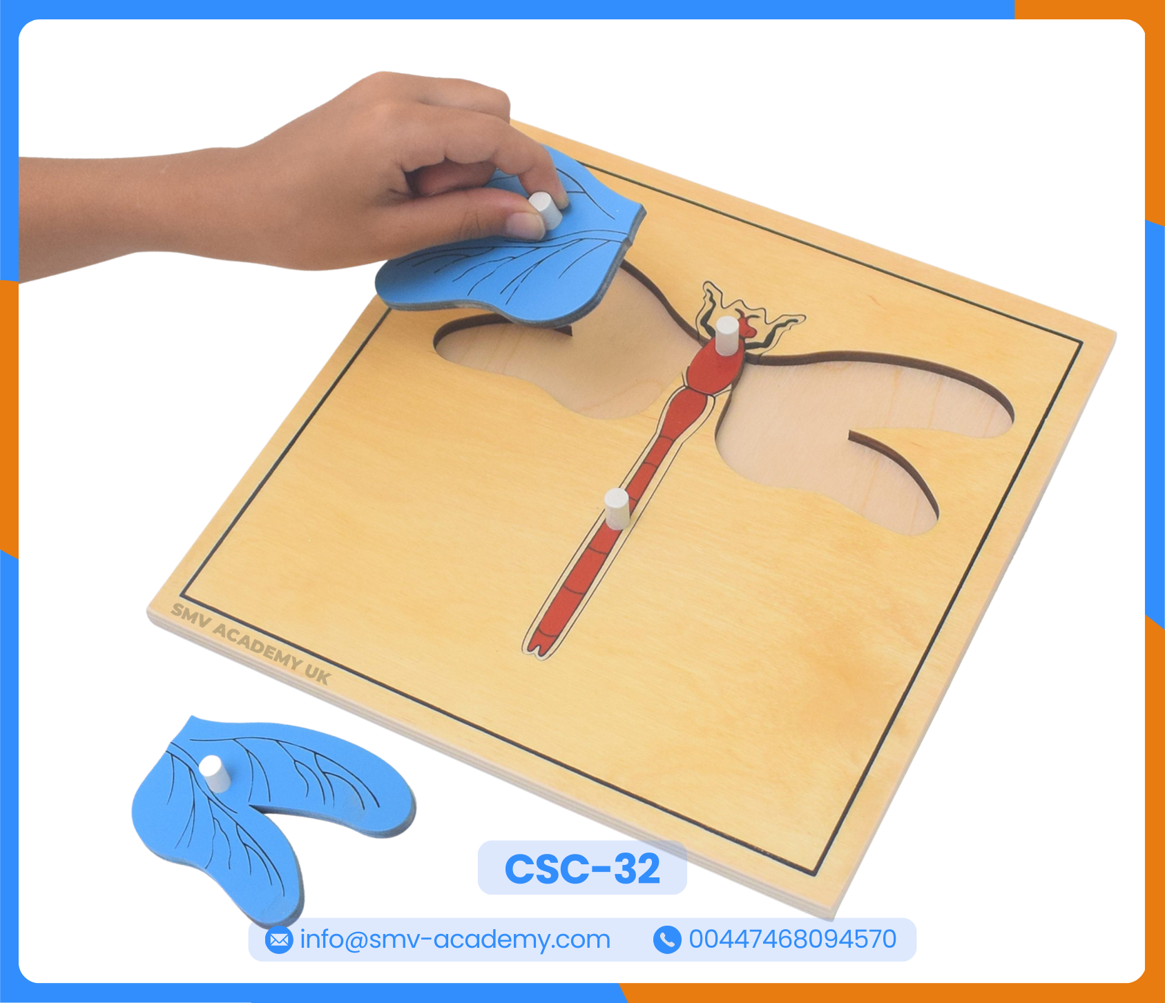 بازل أجزاء اليعسوب - Parts of a Dragon Fly Puzzle